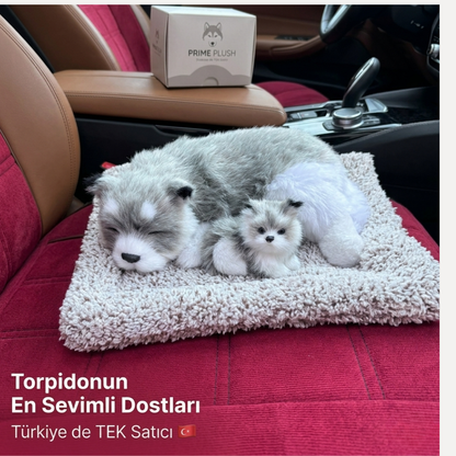 Sevimli Araç Torpido Süsü - Premium